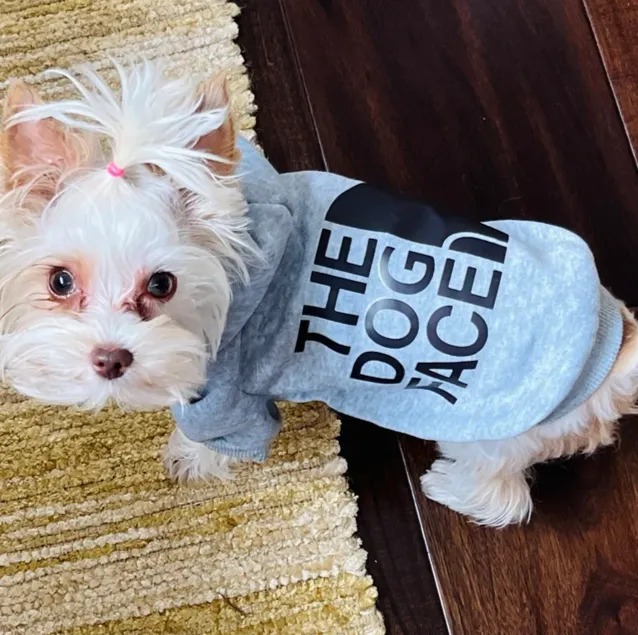 Dog Face Hoodie - Pet Light Sweater