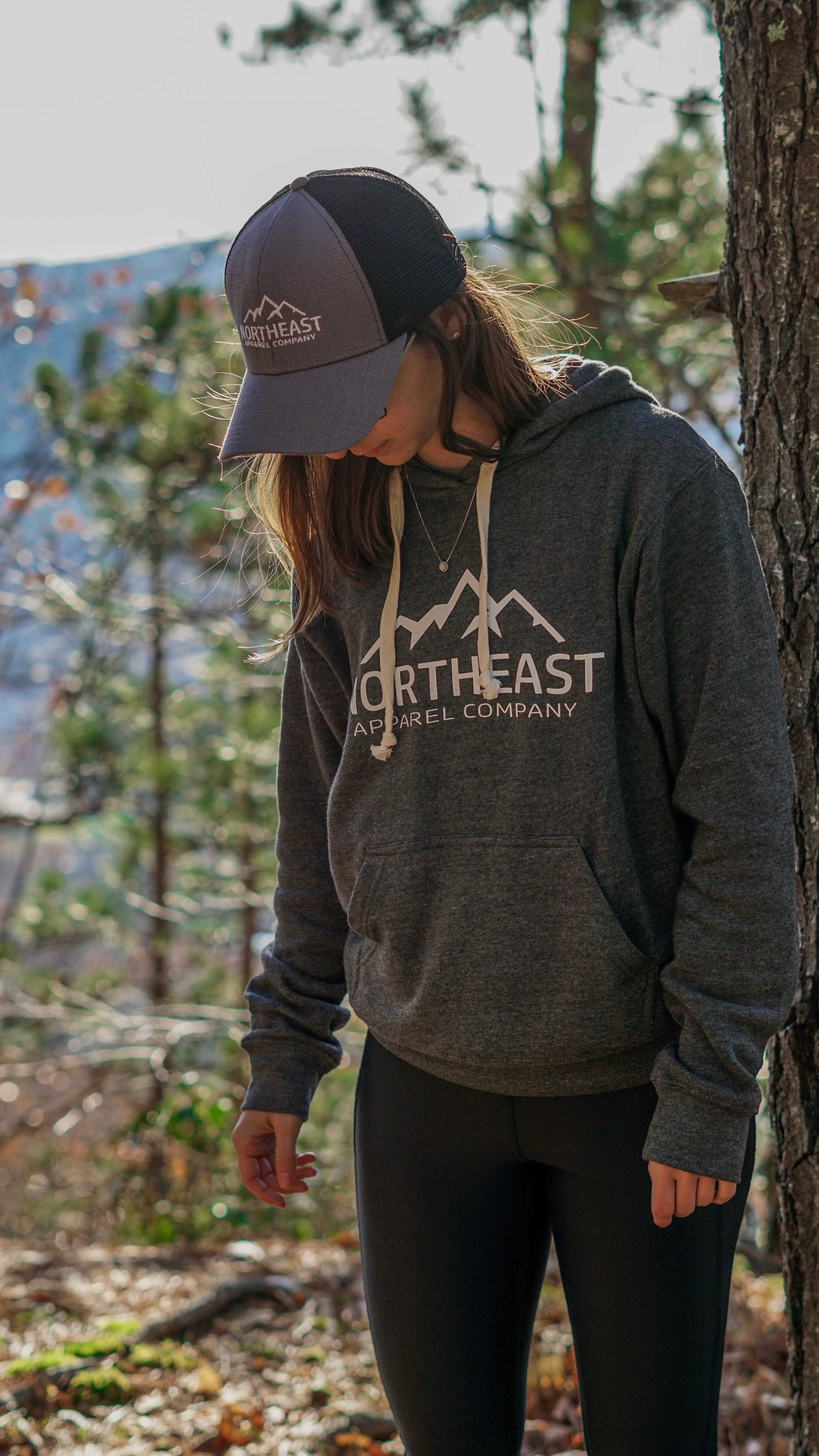Triblend Pullover Hoodie - Classic Logo